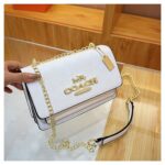 Coach Classic Ladies Fashion Chain Bag - Image 2