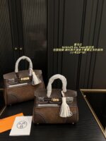 Hermès Birkin 25 Go Team Platinum Bag Structured, Minimalist, Vintage Chic