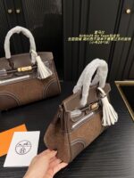 Hermès Birkin 25 Go Team Platinum Bag Structured, Minimalist, Vintage Chic - Image 3