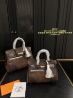 Hermès Birkin 25 Go Team Platinum Bag Structured, Minimalist, Vintage Chic - Image 12