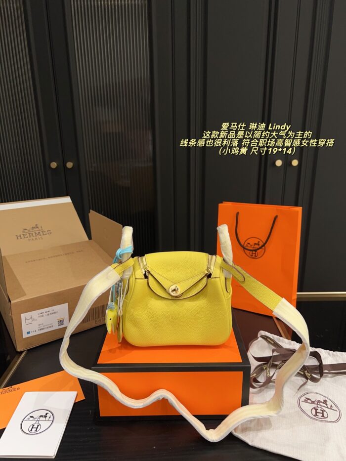 Hermes Lindy: Minimalist, Sophisticated, And Professional Women'S Handbag - Image 15