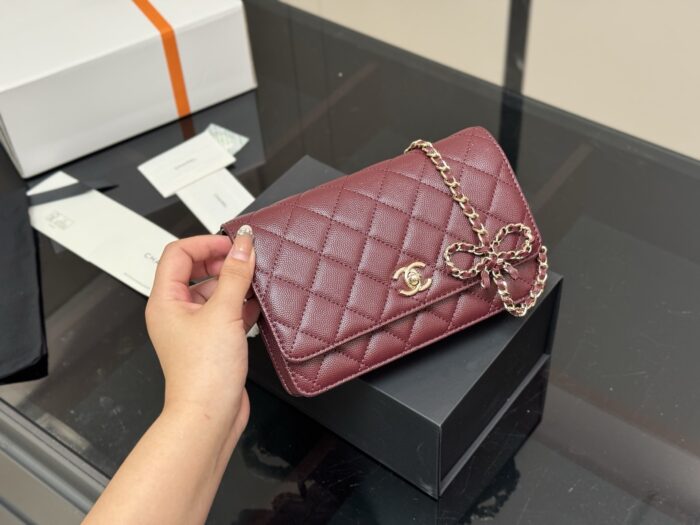Chanel New Bow-Adorned Fortune Woc With Card Slots And Hidden Pocket - Practical - Image 13