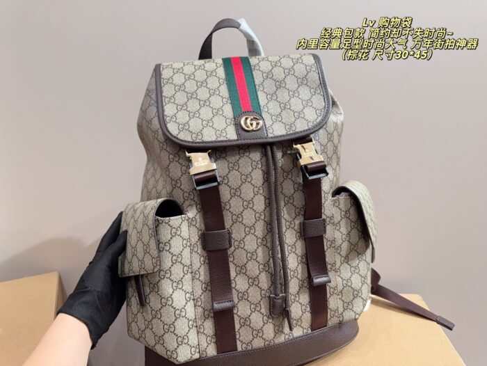 Gucci Backpack Spacious Capacity Holiday Travel Fashion Essential - Image 2