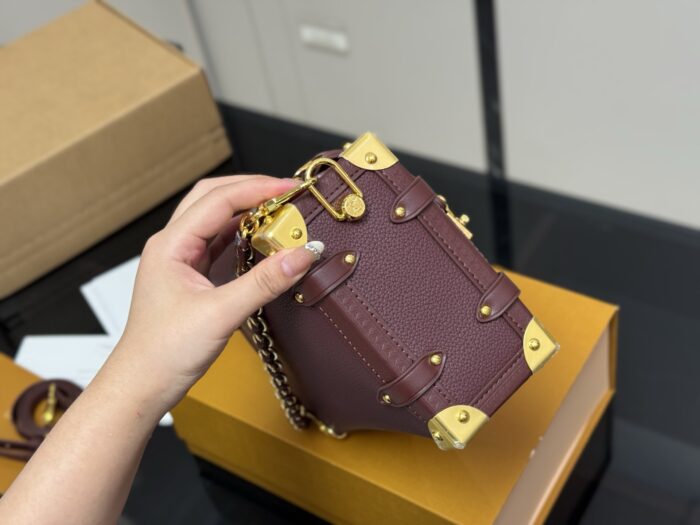 Louis Vuitton Eileen Gu Runway Mini Soft Case S New Stylish Bag - Image 7
