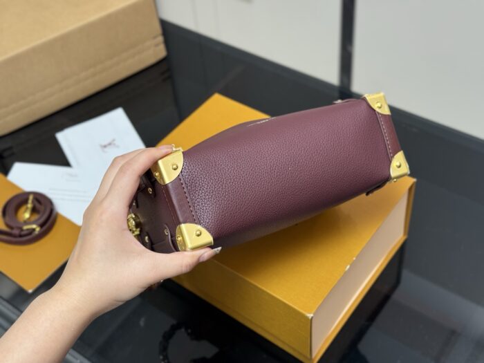 Louis Vuitton Eileen Gu Runway Mini Soft Case S New Stylish Bag - Image 9