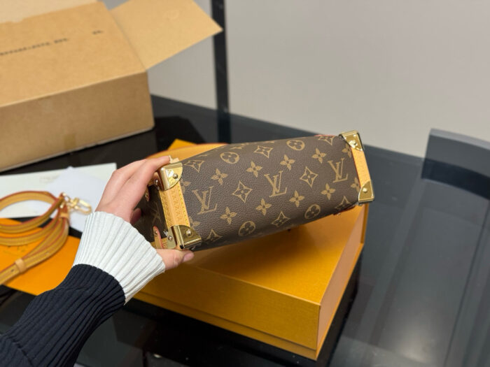 Louis Vuitton Timeless Bestseller Soft Case Bag Stylish And Versatile - Image 9