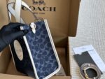 Coach Dempsey Tote - Classic Logo, Adorable Colourway, Small Size (Upgraded Version With Box) - Image 3