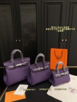 Hermès Birkin Platinum Bag Iris Purple Togo Silver Buckle Elegant And Sophisticated - Image 10
