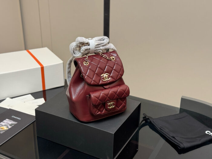 Chanel Duma Backpack Luxurious Lambskin Texture Can Be Worn As A Shoulder Bag, Backpack Or Carried By Hand - Image 13