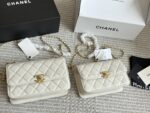 Chanel 2022 New Double Mini Gold Ball Woc Adjustable Vintage Bag