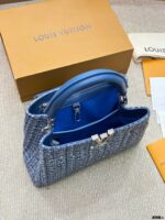 Louis Vuitton Capucines Embroidered Original Canvas Detachable Strap Handbag - Image 9