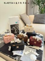 Chanel Double C Adjustable Buckle Mini Box Bag - Image 10