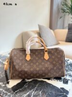 Louis Vuitton Speedy With Little Donkey Print - Adorable - No Box - Image 6