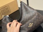 Coach Laurel Replica Edition Wander Bag Dual Straps For Versatile Carrying Built-In Zipped Side Pocket - Image 6