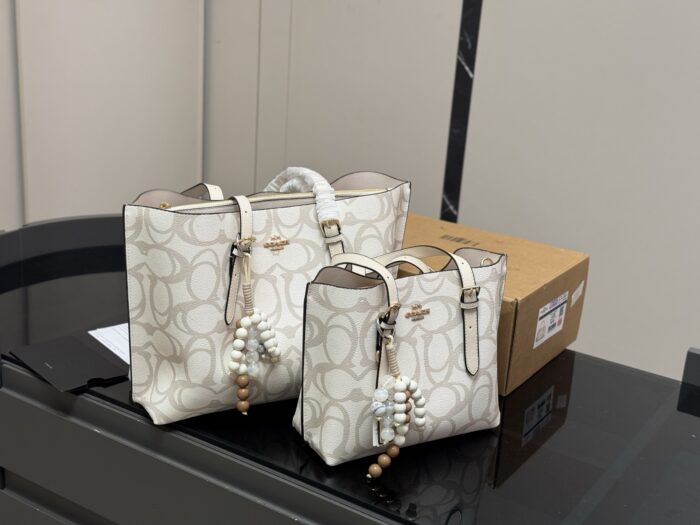Coach Mollie Tote25 New Divine Tote Compact Compartment Shopping Bag - Image 1