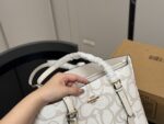 Coach Mollie Tote25 New Divine Tote Compact Compartment Shopping Bag - Image 4