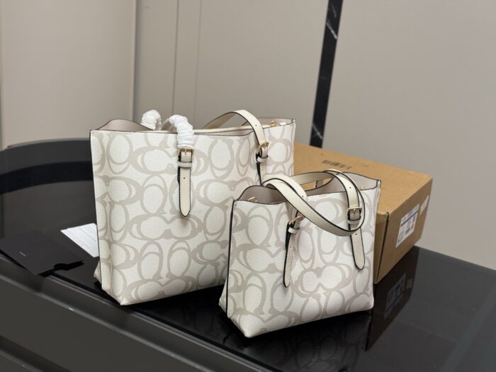 Coach Mollie Tote25 New Divine Tote Compact Compartment Shopping Bag - Image 8