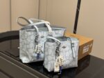 Coach Mollie Tote25 New Compact Compartment Tote Shopping Bag