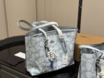 Coach Mollie Tote25 New Compact Compartment Tote Shopping Bag - Image 2