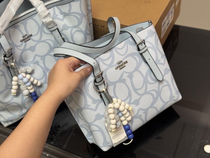 Coach Mollie Tote25 New Compact Compartment Tote Shopping Bag - Image 9