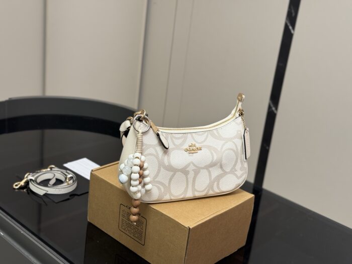 Coach Teri Underarm Bag Dual Shoulder Straps Single Shoulder Crossbody High Aesthetic - Image 1