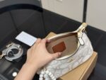 Coach Teri Underarm Bag Dual Shoulder Straps Single Shoulder Crossbody High Aesthetic - Image 4