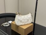 Coach Teri Underarm Bag Dual Shoulder Straps Single Shoulder Crossbody High Aesthetic - Image 7