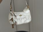 Coach Teri Underarm Bag Dual Shoulder Straps Single Shoulder Crossbody High Aesthetic - Image 9