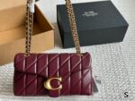 Coach Tabby Collection Bacchus-Inspired Ivory Diamond-Quilted Chain Bag - Image 13