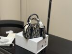 Dior Mini Bowling Bag Vibe Mini Bag