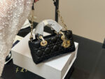 Dior Lady Horizontal Diana Bag 2025 New Style Dual Straps - Image 2
