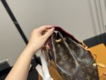 Louis Vuitton Classic Matching Pattern With Cowhide Backpack - Image 6