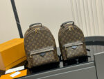 Louis Vuitton Palm Springs Backpack Raised Top Handle Calfskin Shoulder Straps