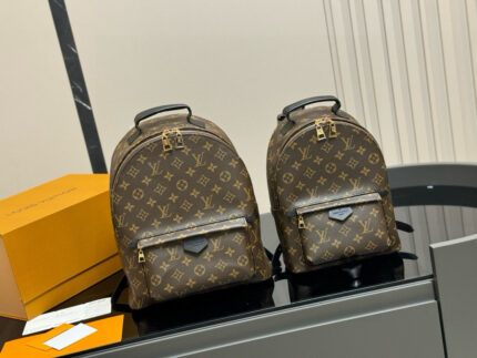 Louis Vuitton Palm Springs Backpack Raised Top Handle Calfskin Shoulder Straps