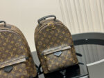 Louis Vuitton Palm Springs Backpack Raised Top Handle Calfskin Shoulder Straps - Image 2