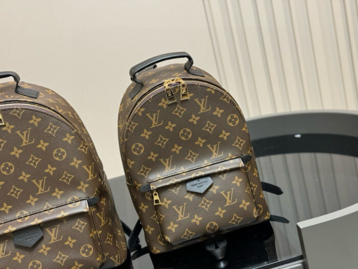 Louis Vuitton Palm Springs Backpack Raised Top Handle Calfskin Shoulder Straps - Image 2