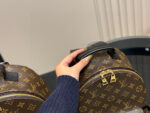 Louis Vuitton Palm Springs Backpack Raised Top Handle Calfskin Shoulder Straps - Image 3