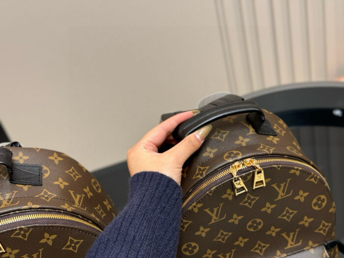 Louis Vuitton Palm Springs Backpack Raised Top Handle Calfskin Shoulder Straps - Image 3