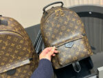 Louis Vuitton Palm Springs Backpack Raised Top Handle Calfskin Shoulder Straps - Image 5