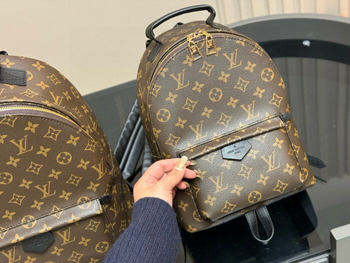 Louis Vuitton Palm Springs Backpack Raised Top Handle Calfskin Shoulder Straps - Image 5