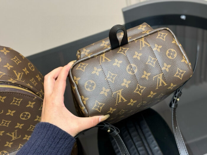 Louis Vuitton Palm Springs Backpack Raised Top Handle Calfskin Shoulder Straps - Image 8