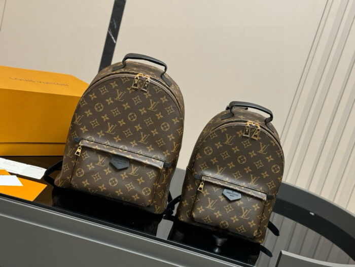 Louis Vuitton Palm Springs Backpack Raised Top Handle Calfskin Shoulder Straps - Image 9