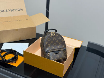 Louis Vuitton Mini Backpack Classic, Compact, Adorable And Practical