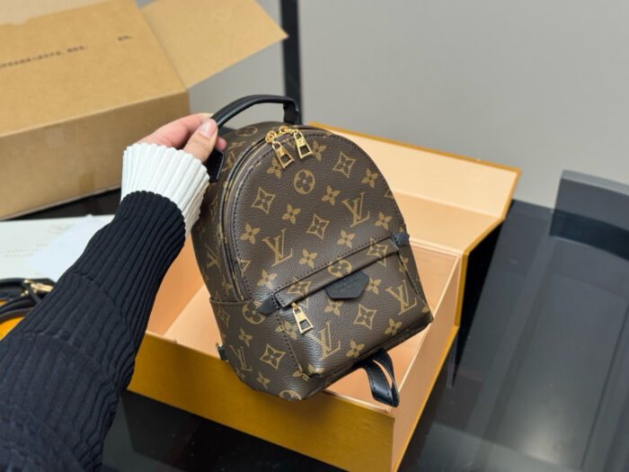 Louis Vuitton Mini Backpack Classic, Compact, Adorable And Practical - Image 5