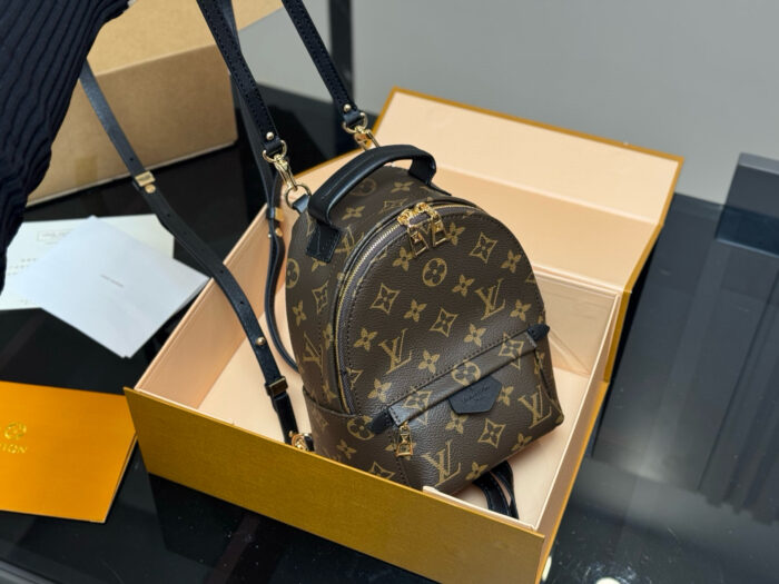Louis Vuitton Mini Backpack Classic, Compact, Adorable And Practical - Image 9