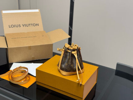 Louis Vuitton New Nano Bucket Bag Vintage Monogram