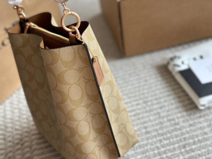 Coach Mollie Small Bucket Bag Replica Edition With Box Handheld/Underarm/Crossbody Central Zipped Compartment - Image 4