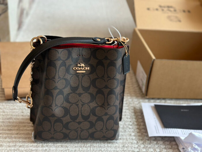 Coach Mollie Small Bucket Bag Replica Edition With Box Handheld/Underarm/Crossbody Central Zipped Compartment - Image 13