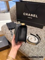 Chanel Leboy Classic Lambskin Texture Gold-Plated Hardware Shoulder/Crossbody Bag - Image 4