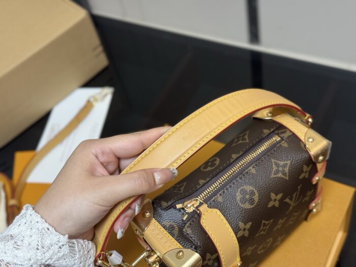Louis Vuitton Replica Mini Soft Case Original Steel Hardware Timeless Bestseller - Image 3